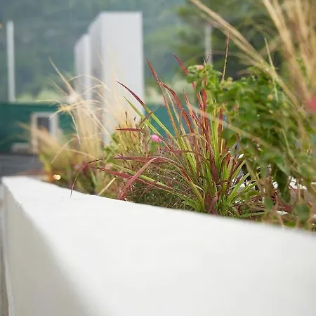 Celine's Rose 4* Szkála Potamiász