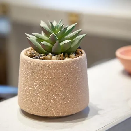 Apartahotel Celine's Rose